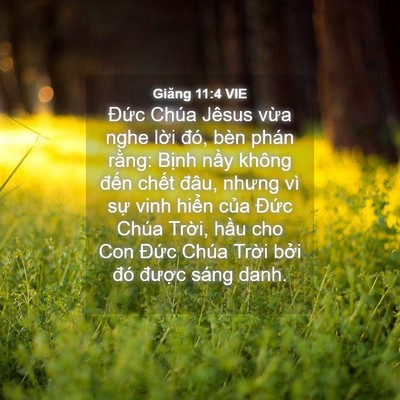 Picture 04 - Giăng 11:4 VIE - Đức Chúa Jêsus vừa nghe lời đó, bèn - Bible Verse Picture
