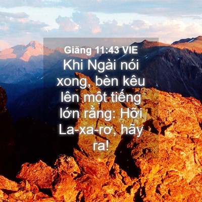 Picture 04 - Giăng 11:43 VIE - Khi Ngài nói xong, bèn kêu lên một tiếng - Bible Verse Picture
