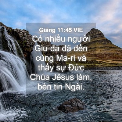 Picture 04 - Giăng 11:45 VIE - Có nhiều người Giu-đa đã đến cùng - Bible Verse Picture