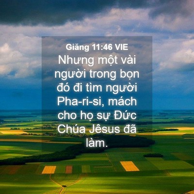 Picture 04 - Giăng 11:46 VIE - Nhưng một vài người trong bọn đó đi - Bible Verse Picture