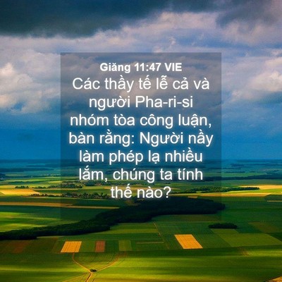 Picture 04 - Giăng 11:47 VIE - Các thầy tế lễ cả và người Pha-ri-si - Bible Verse Picture