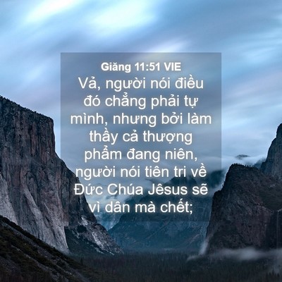 Picture 04 - Giăng 11:51 VIE - Vả, người nói điều đó chẳng phải - Bible Verse Picture