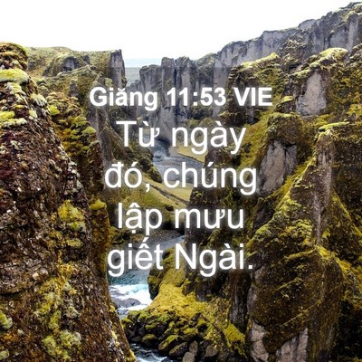 Picture 04 - Giăng 11:53 VIE - Từ ngày đó, chúng lập mưu giết - Bible Verse Picture