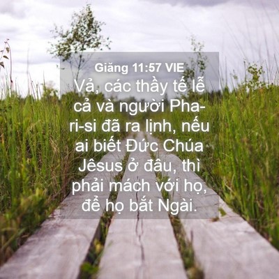 Picture 04 - Giăng 11:57 VIE - Vả, các thầy tế lễ cả và người - Bible Verse Picture