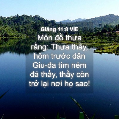 Picture 04 - Giăng 11:8 VIE - Môn đồ thưa rằng: Thưa thầy, hôm - Bible Verse Picture