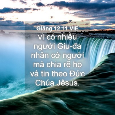 Picture 04 - Giăng 12:11 VIE - vì có nhiều người Giu-đa nhân cớ - Bible Verse Picture