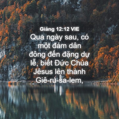 Picture 04 - Giăng 12:12 VIE - Qua ngày sau, có một đám dân đông đến - Bible Verse Picture
