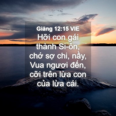 Picture 04 - Giăng 12:15 VIE - Hỡi con gái thành Si-ôn, chớ sợ chi, - Bible Verse Picture