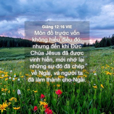 Picture 04 - Giăng 12:16 VIE - Môn đồ trước vốn không hiểu điều - Bible Verse Picture