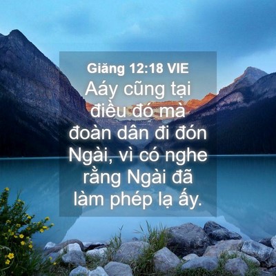 Picture 04 - Giăng 12:18 VIE - Aáy cũng tại điều đó mà đoàn dân đi - Bible Verse Picture