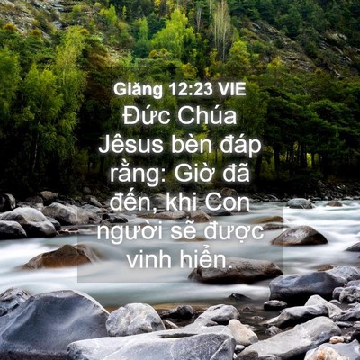 Picture 04 - Giăng 12:23 VIE - Đức Chúa Jêsus bèn đáp rằng: Giờ đã - Bible Verse Picture