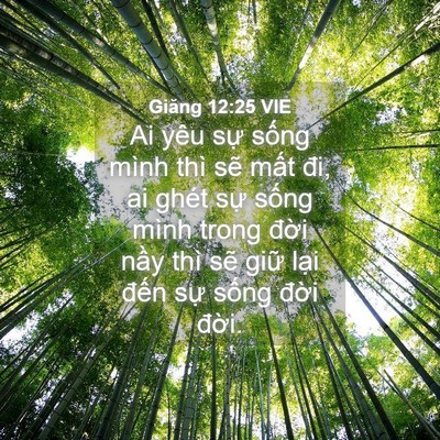 Picture 04 - Giăng 12:25 VIE - Ai yêu sự sống mình thì sẽ mất đi, ai - Bible Verse Picture