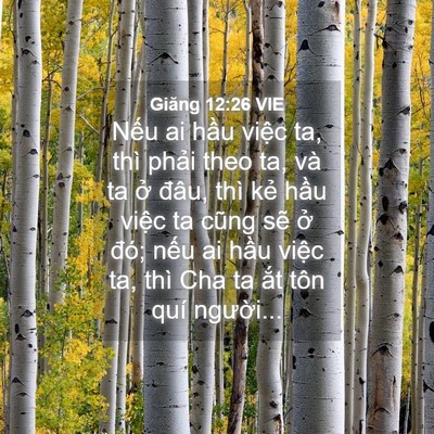 Picture 04 - Giăng 12:26 VIE - Nếu ai hầu việc ta, thì phải theo ta, - Bible Verse Picture