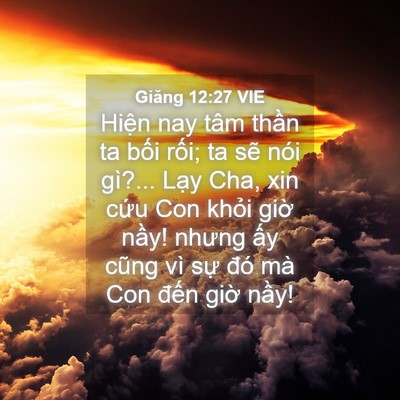 Picture 04 - Giăng 12:27 VIE - Hiện nay tâm thần ta bối rối; ta sẽ - Bible Verse Picture
