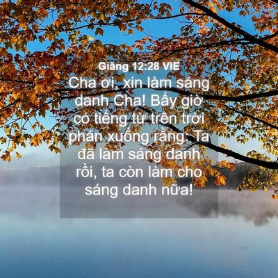 Picture 04 - Giăng 12:28 VIE - Cha ơi, xin làm sáng danh Cha! Bấy giờ có - Bible Verse Picture