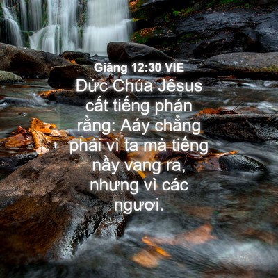 Picture 04 - Giăng 12:30 VIE - Đức Chúa Jêsus cất tiếng phán rằng: - Bible Verse Picture