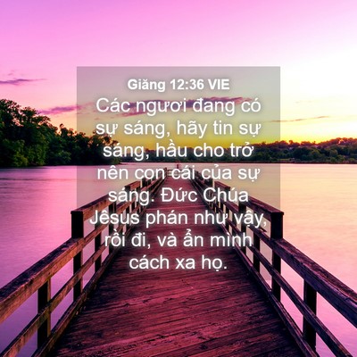 Picture 04 - Giăng 12:36 VIE - Các ngươi đang có sự sáng, hãy tin sự - Bible Verse Picture