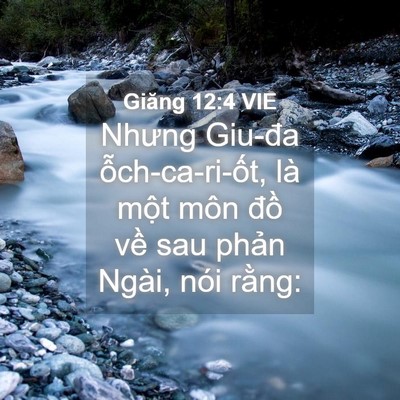 Picture 04 - Giăng 12:4 VIE - Nhưng Giu-đa ỗch-ca-ri-ốt, là một môn - Bible Verse Picture