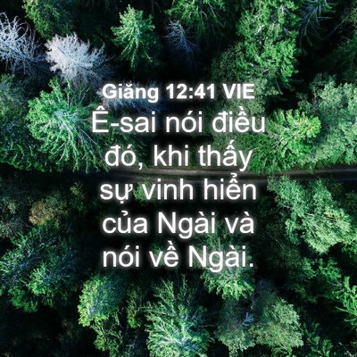 Picture 04 - Giăng 12:41 VIE - Ê-sai nói điều đó, khi thấy sự vinh - Bible Verse Picture