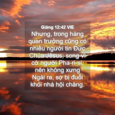 Picture 04 - Giăng 12:42 VIE - Nhưng, trong hàng quan trưởng cũng có - Bible Verse Picture