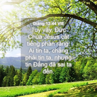Picture 04 - Giăng 12:44 VIE - Tuy vậy, Đức Chúa Jêsus cất tiếng - Bible Verse Picture