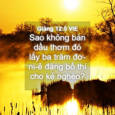 Picture 04 - Giăng 12:5 VIE - Sao không bán dầu thơm đó lấy ba trăm - Bible Verse Picture