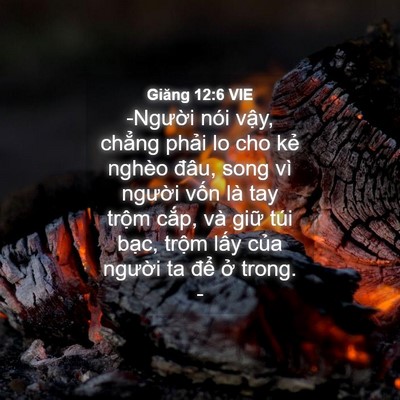 Picture 04 - Giăng 12:6 VIE - -Người nói vậy, chẳng phải lo cho kẻ - Bible Verse Picture