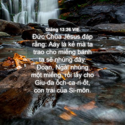Picture 04 - Giăng 13:26 VIE - Đức Chúa Jêsus đáp rằng: Aáy là kẻ - Bible Verse Picture
