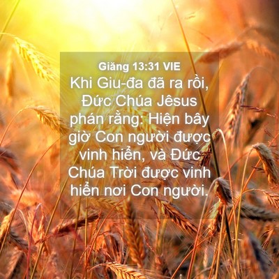 Picture 04 - Giăng 13:31 VIE - Khi Giu-đa đã ra rồi, Đức Chúa Jêsus - Bible Verse Picture