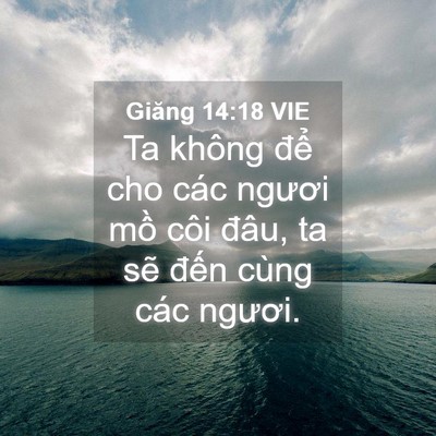 Picture 04 - Giăng 14:18 VIE - Ta không để cho các ngươi mồ côi đâu, - Bible Verse Picture