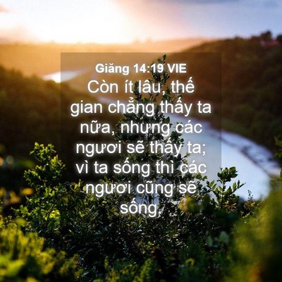 Picture 04 - Giăng 14:19 VIE - Còn ít lâu, thế gian chẳng thấy ta - Bible Verse Picture
