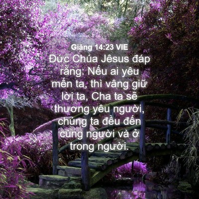 Picture 04 - Giăng 14:23 VIE - Đức Chúa Jêsus đáp rằng: Nếu ai yêu - Bible Verse Picture