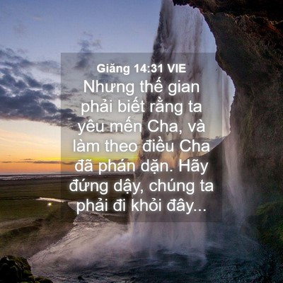 Picture 04 - Giăng 14:31 VIE - Nhưng thế gian phải biết rằng ta yêu - Bible Verse Picture