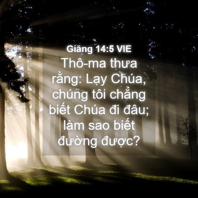 Picture 04 - Giăng 14:5 VIE - Thô-ma thưa rằng: Lạy Chúa, chúng tôi - Bible Verse Picture