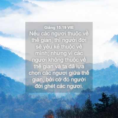 Picture 04 - Giăng 15:19 VIE - Nếu các ngươi thuộc về thế gian, thì - Bible Verse Picture