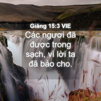 Picture 04 - Giăng 15:3 VIE - Các ngươi đã được trong sạch, vì - Bible Verse Picture