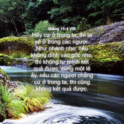 Picture 04 - Giăng 15:4 VIE - Hãy cứ ở trong ta, thì ta sẽ ở trong - Bible Verse Picture