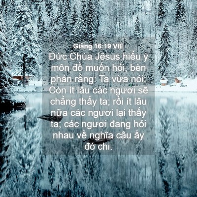 Picture 04 - Giăng 16:19 VIE - Đức Chúa Jêsus hiểu ý môn đồ muốn - Bible Verse Picture
