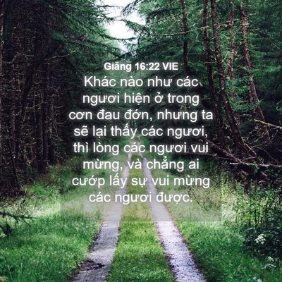 Picture 04 - Giăng 16:22 VIE - Khác nào như các ngươi hiện ở trong - Bible Verse Picture