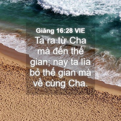 Picture 04 - Giăng 16:28 VIE - Ta ra từ Cha mà đến thế gian; nay ta lìa - Bible Verse Picture