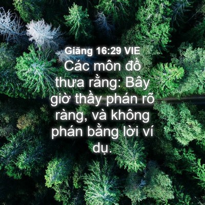 Picture 04 - Giăng 16:29 VIE - Các môn đồ thưa rằng: Bây giờ thầy - Bible Verse Picture