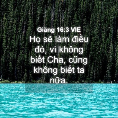 Picture 04 - Giăng 16:3 VIE - Họ sẽ làm điều đó, vì không biết - Bible Verse Picture