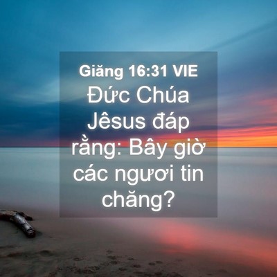 Picture 04 - Giăng 16:31 VIE - Đức Chúa Jêsus đáp rằng: Bây giờ các - Bible Verse Picture