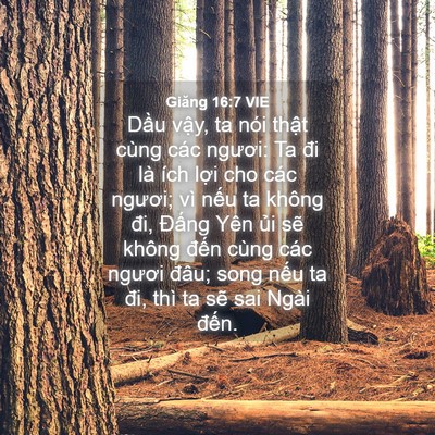 Picture 04 - Giăng 16:7 VIE - Dầu vậy, ta nói thật cùng các ngươi: - Bible Verse Picture