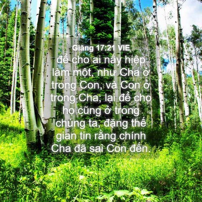 Picture 04 - Giăng 17:21 VIE - để cho ai nấy hiệp làm một, như Cha - Bible Verse Picture