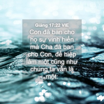 Picture 04 - Giăng 17:22 VIE - Con đã ban cho họ sự vinh hiển mà Cha - Bible Verse Picture