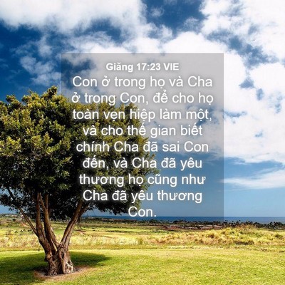 Picture 04 - Giăng 17:23 VIE - Con ở trong họ và Cha ở trong Con, để - Bible Verse Picture