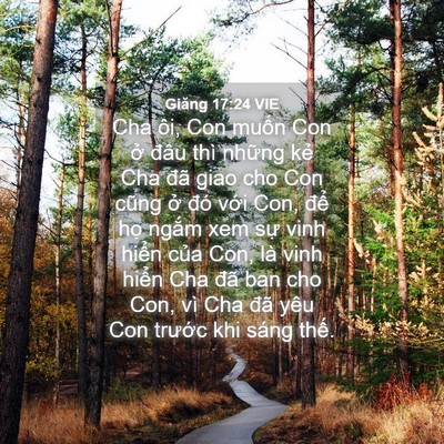Picture 04 - Giăng 17:24 VIE - Cha ôi, Con muốn Con ở đâu thì những - Bible Verse Picture