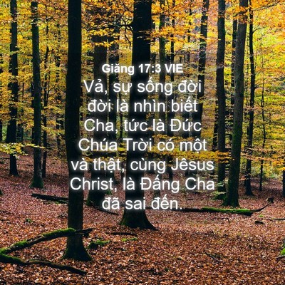 Picture 04 - Giăng 17:3 VIE - Vả, sự sống đời đời là nhìn biết - Bible Verse Picture