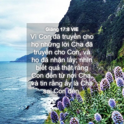 Picture 04 - Giăng 17:8 VIE - Vì Con đã truyền cho họ những lời Cha - Bible Verse Picture